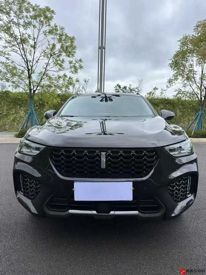 WeyVV5 国产的 SUV：展现卓越性能与独特魅力的高品质汽车